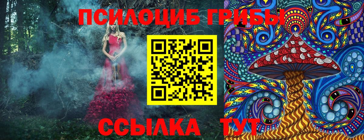 Ярцево  Галлюциногенные грибы Psilocybe  Вход с VPN 